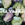 Cruciferous Vegetables