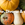 Pumpkins, Gourds and Squashes