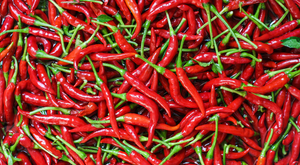 Chillies Hot Red