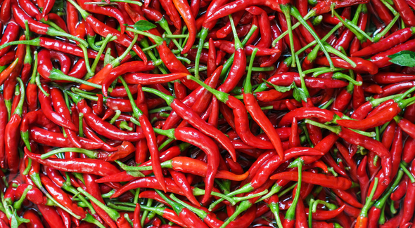 Chillies Hot Red