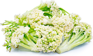 Caulini