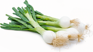 Spring Onion