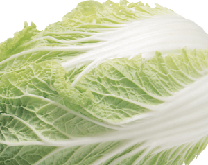 Lettuce Iceberg