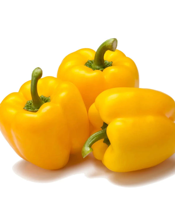 Yellow Capsicum