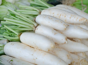Radish White