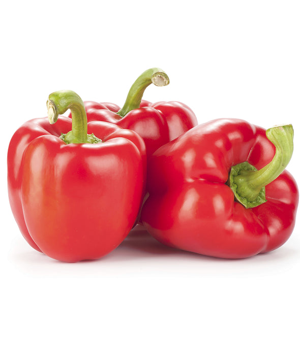 Red Capsicum
