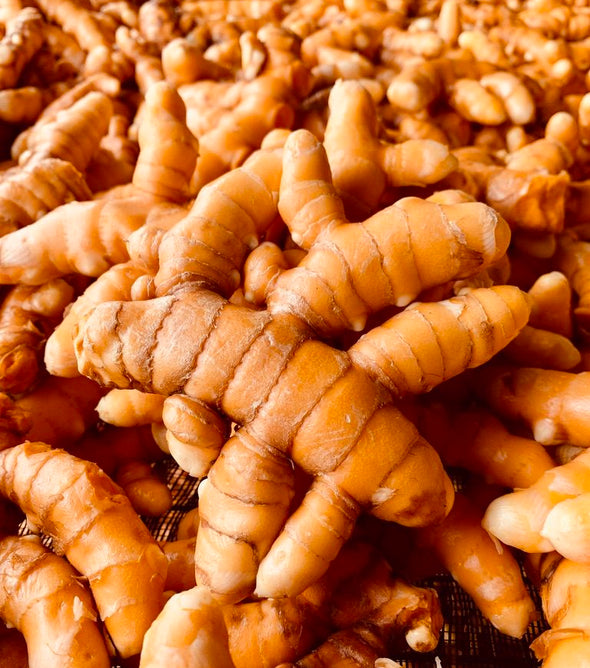 Fresh Turmeric(Haldi)