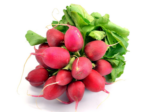 Radish Red Bunch
