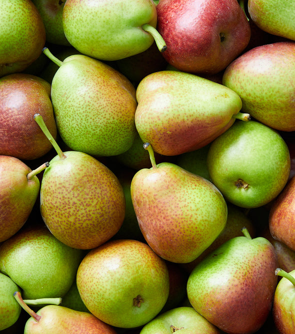Pear Corella