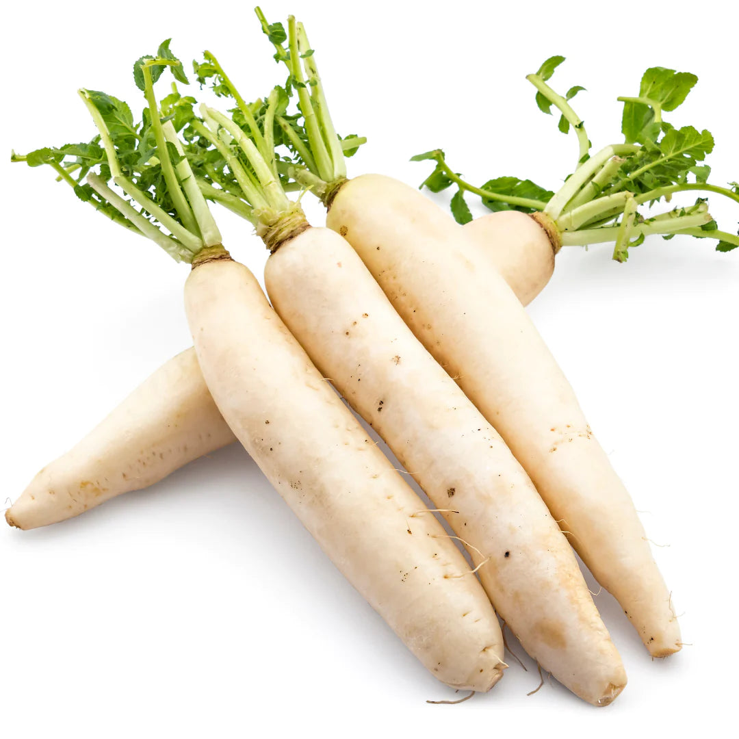 Radish White