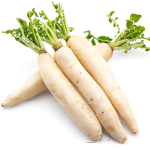 Radish White