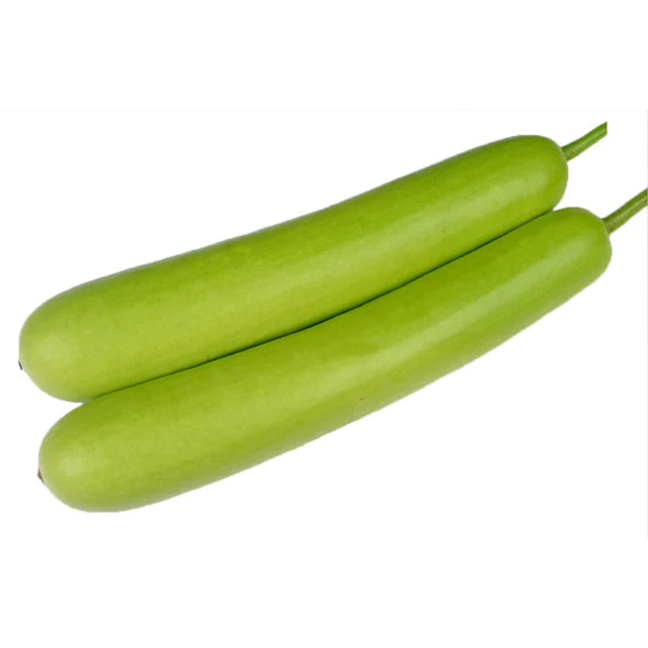 Long Melon(Ghia)