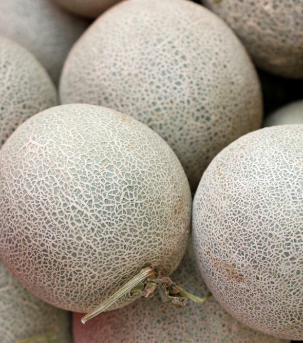 Melon Rock
