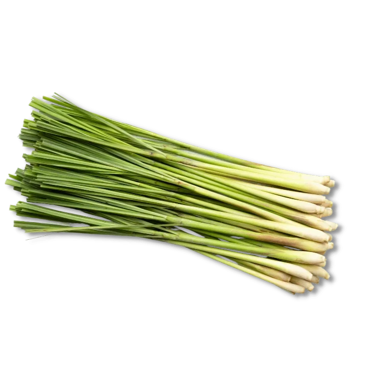 Lemon Grass