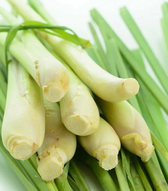 Lemon Grass