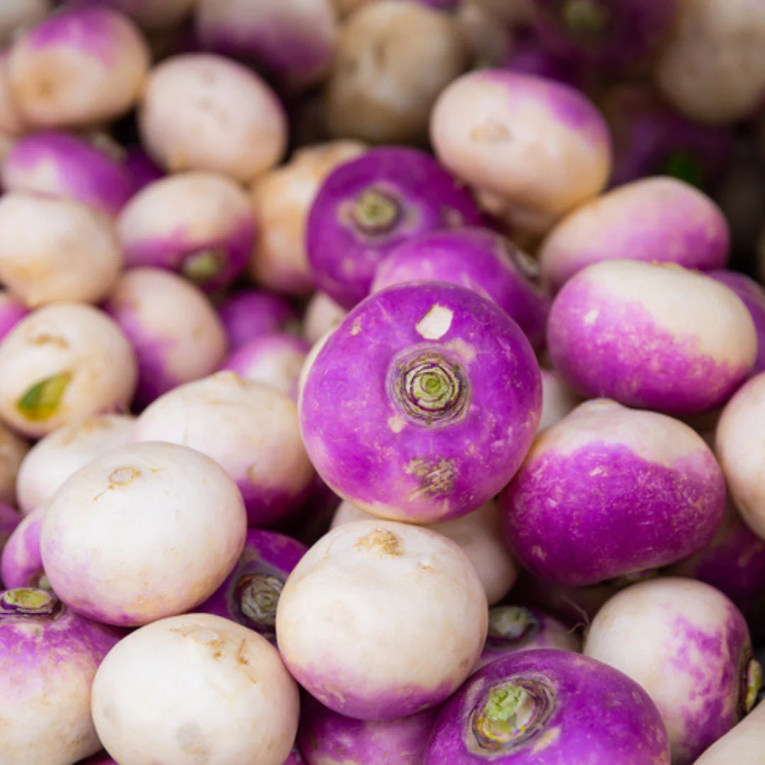 Turnip