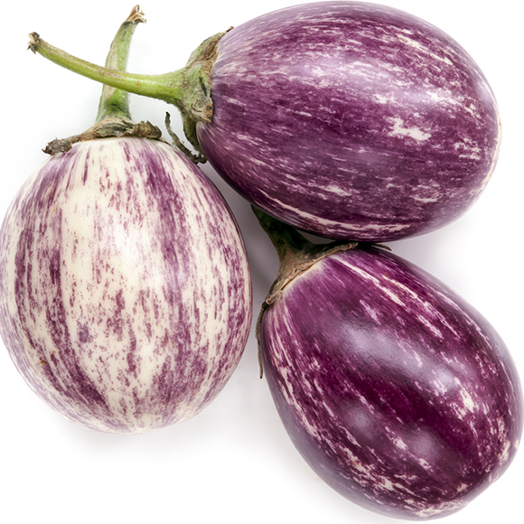 Eggplant Baby