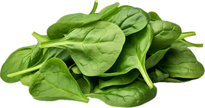 Baby Spinach