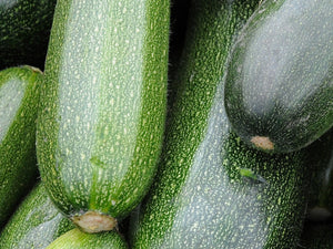 Zucchini