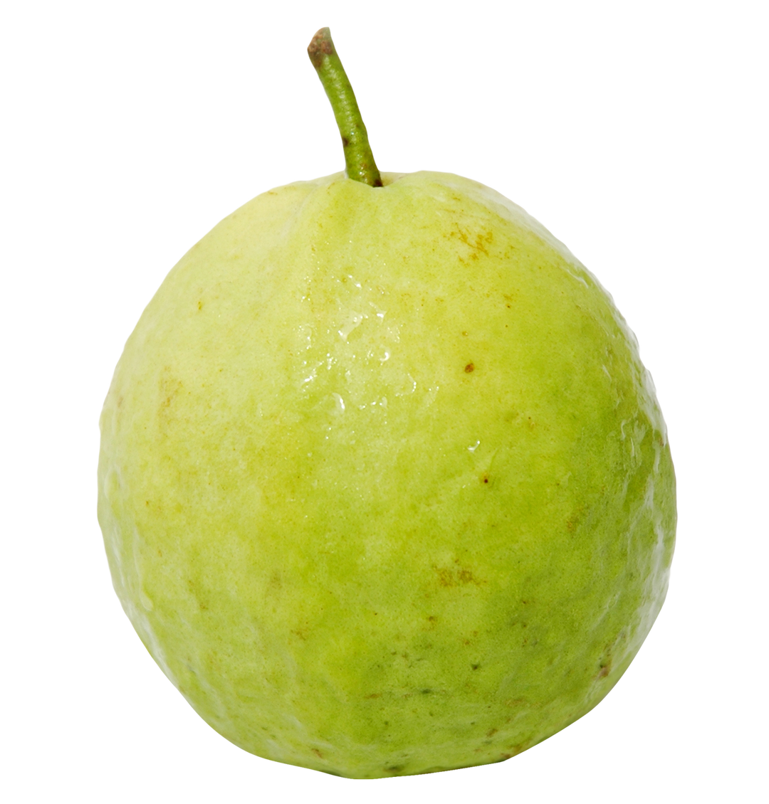 Guava(Amrood)