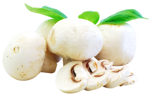 Mushroom