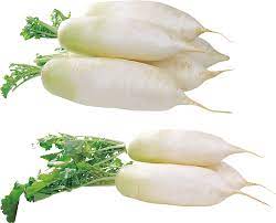 Radish White
