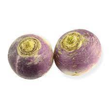 Turnip