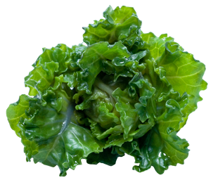 Kale