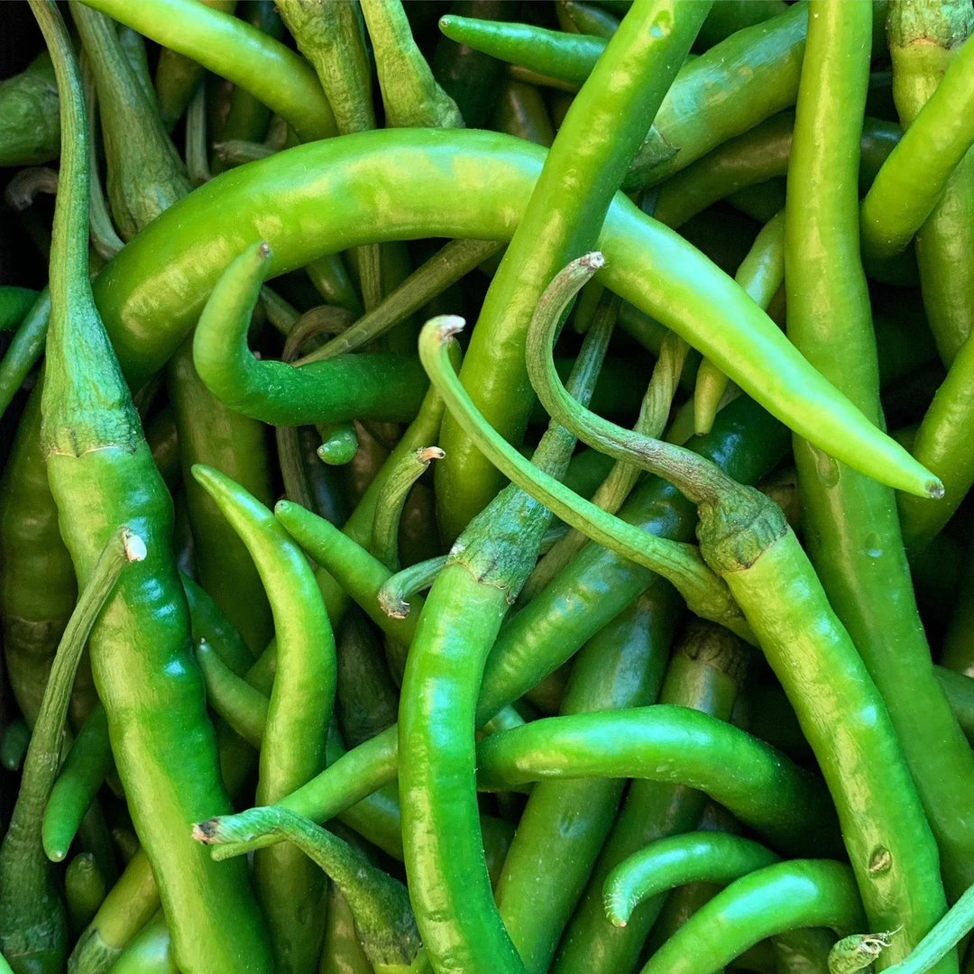 Chillies Long Green Mild