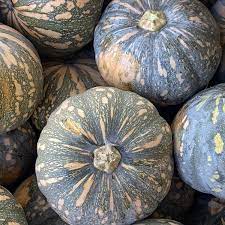 Pumpkin Japanese