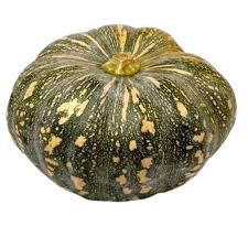 Pumpkin Japanese