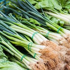 Spring Onion