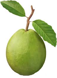 Guava(Amrood)