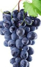 Black Grapes
