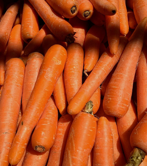 Carrot Premium Loose
