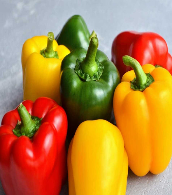 Mix Capsicum