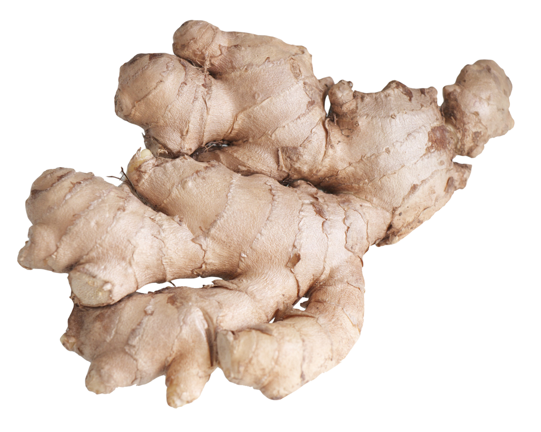 Ginger