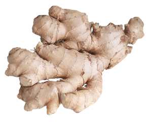 Ginger