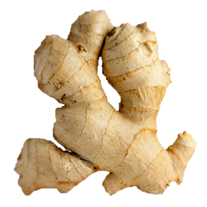 Ginger