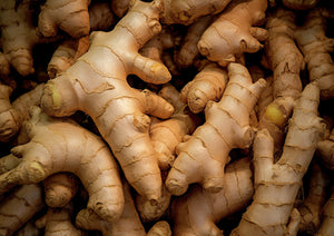 Ginger
