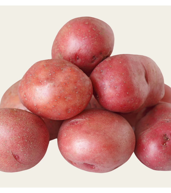 Potato Red washed 5Kg