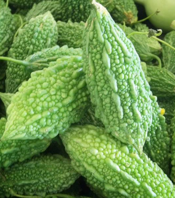 Bitter Melon Baby(Karele Small)