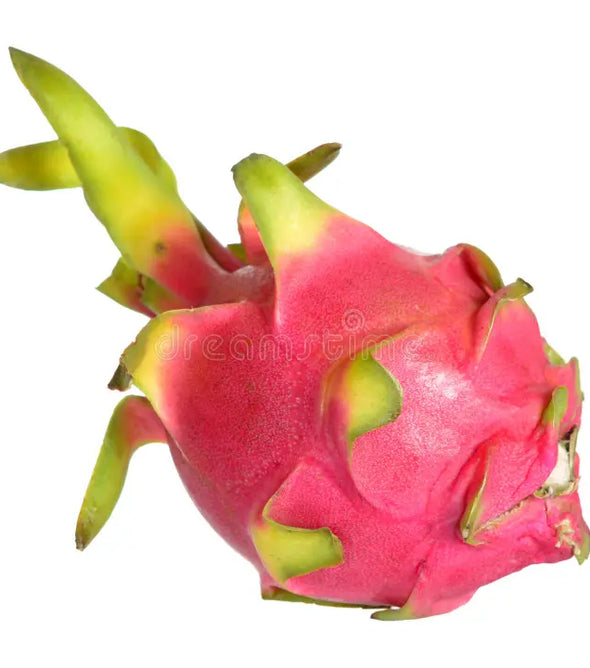Dragon Fruit