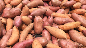 Sweet Potato