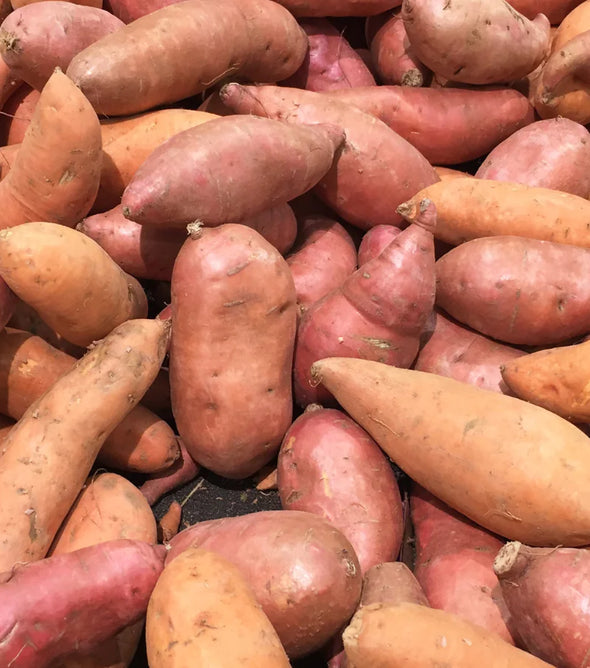 Sweet Potato