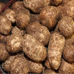 Taro(Arbi)