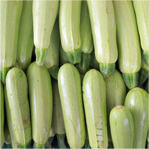 Zucchini Lebanese