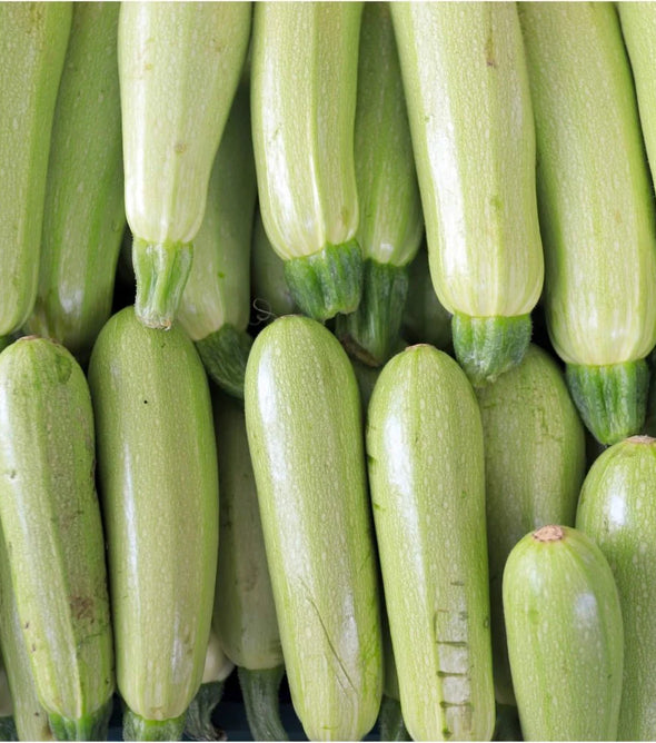 Zucchini Lebanese
