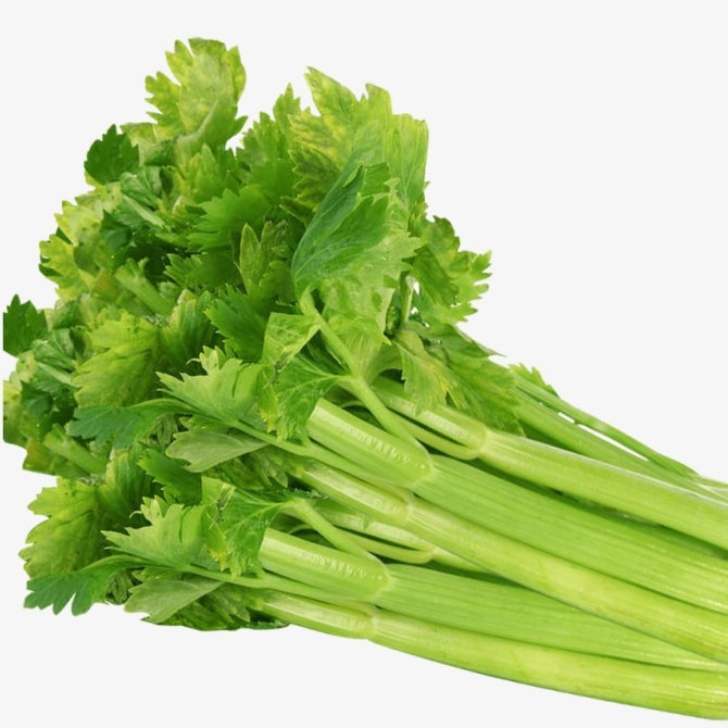 Celery
