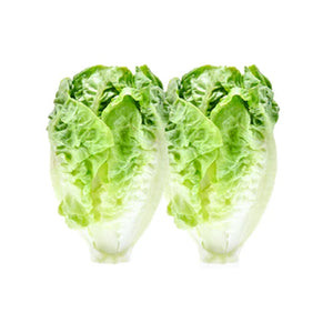 Lettuce Baby Cos Twin Pack